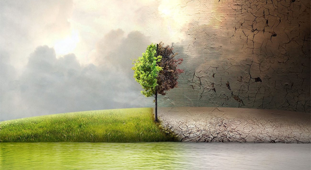 Il Regolamento Ecodesign per prodotti sostenibili: impatti e scenari per le aziende Il Regolamento Ecodesign per prodotti sostenibili: impatti e scenari per le aziende